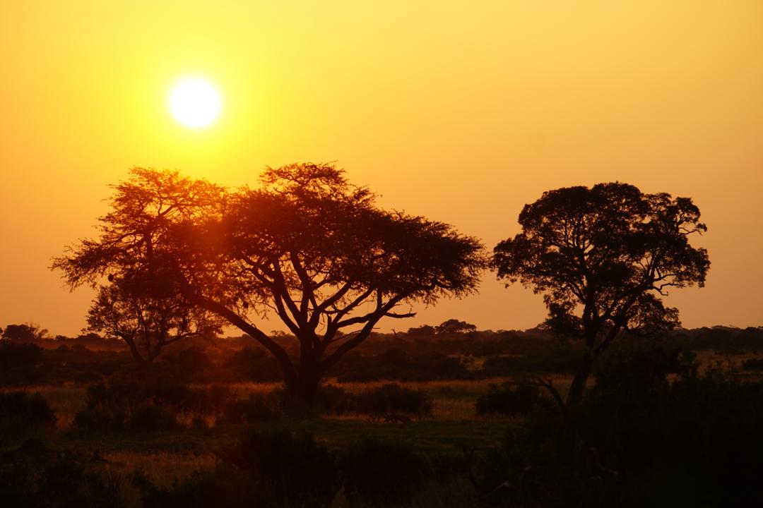 Ons vertrek in vraag en antwoord