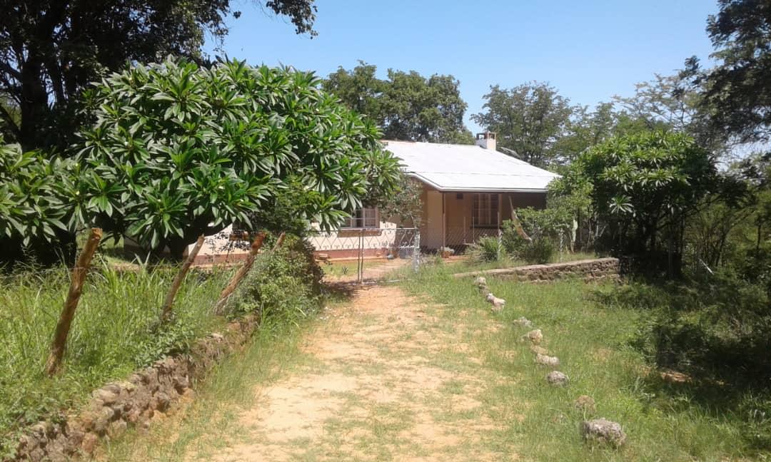 Familie Janse naar Zimbabwe